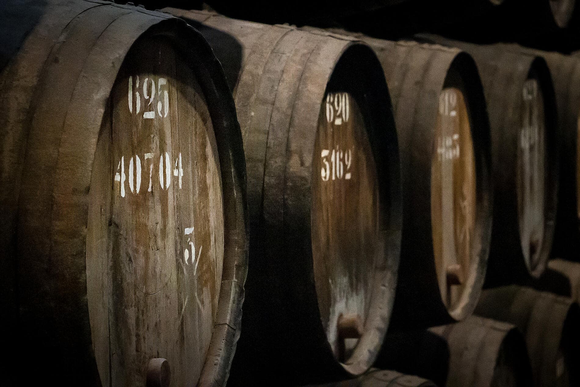 Gastronomy, Vineyards & Grands Crus 