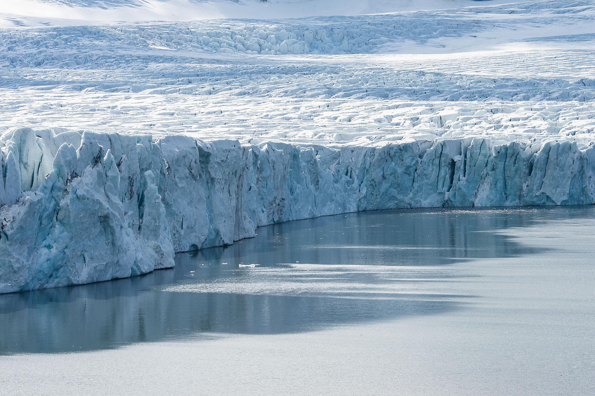 From Scotland to Spitsbergen 