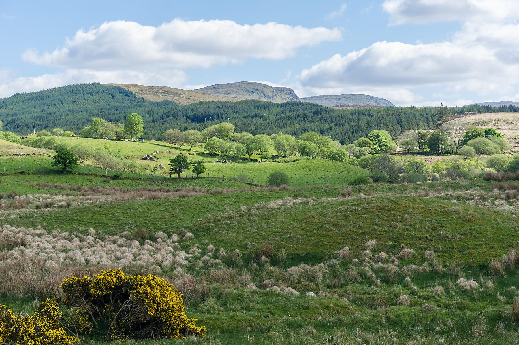 Around the Emerald Isle 