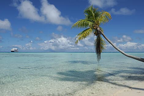 23 Jan 27 - Fakarava, Tuamotu Islands