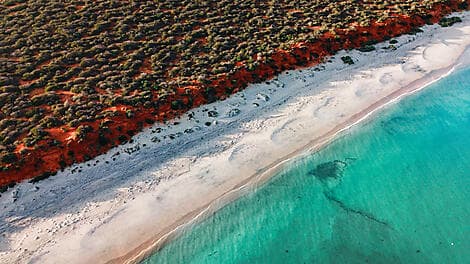11 Aug 27 - Shark Bay World Heritage Area