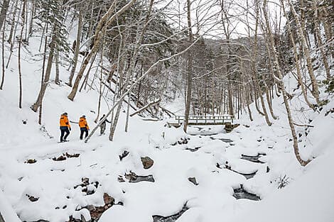 21 Feb 27 - Corner Brook