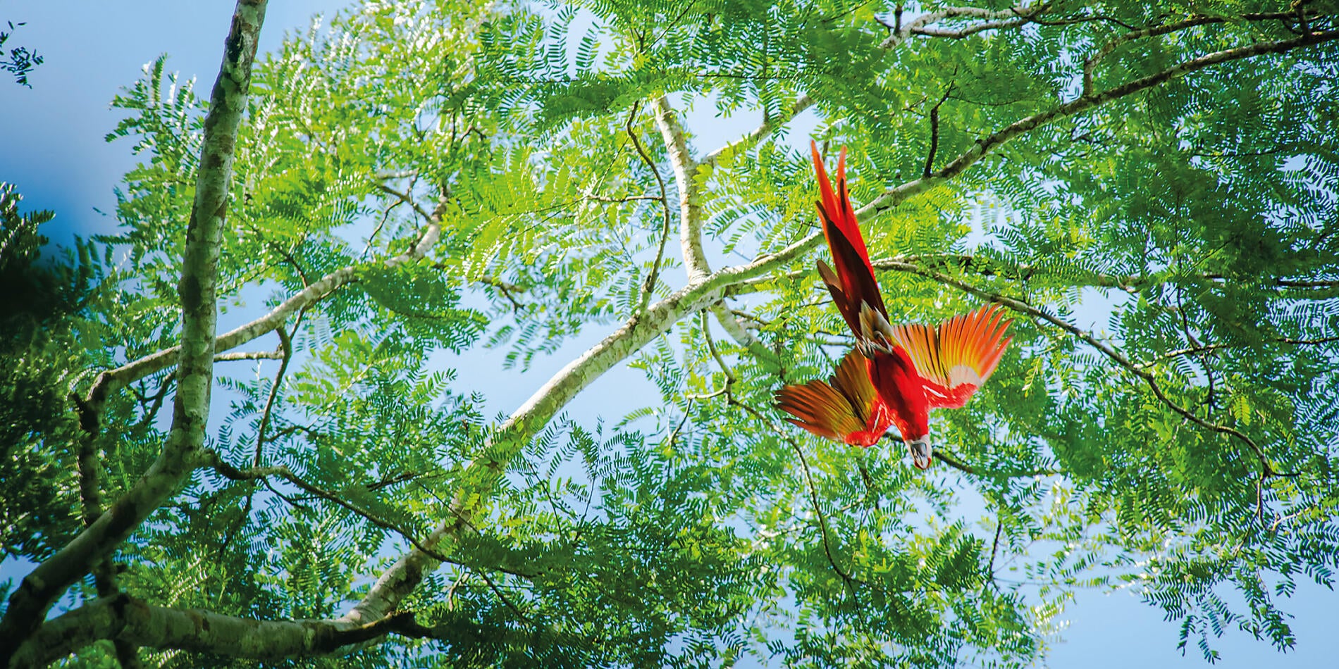 Central America Jewels & Panama Canal Central America Jewels & Panama Canal