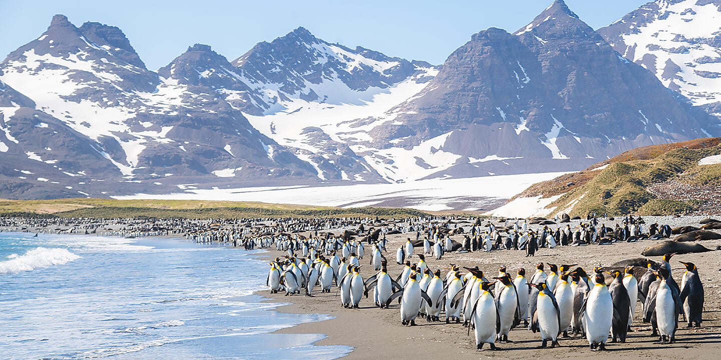 The Great Austral Loop The Great Austral Loop