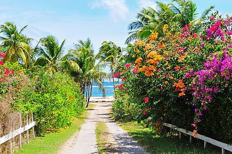 23 Feb 27 - Charlestown, Nevis