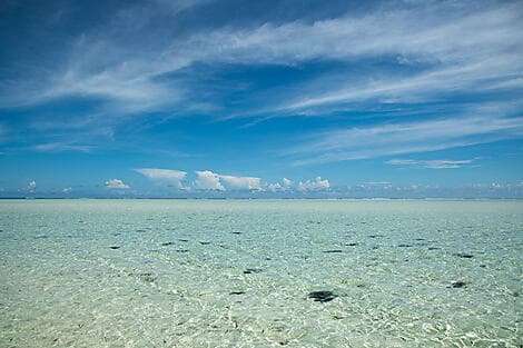4 Feb 26 - Saint François Atoll
